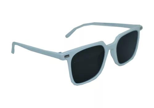 s-l500